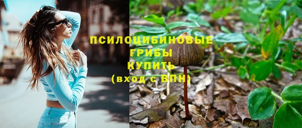 jwh Алзамай