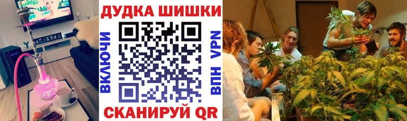 hydra маркетплейс  где найти наркотики  Сенгилей  Конопля сатива 
